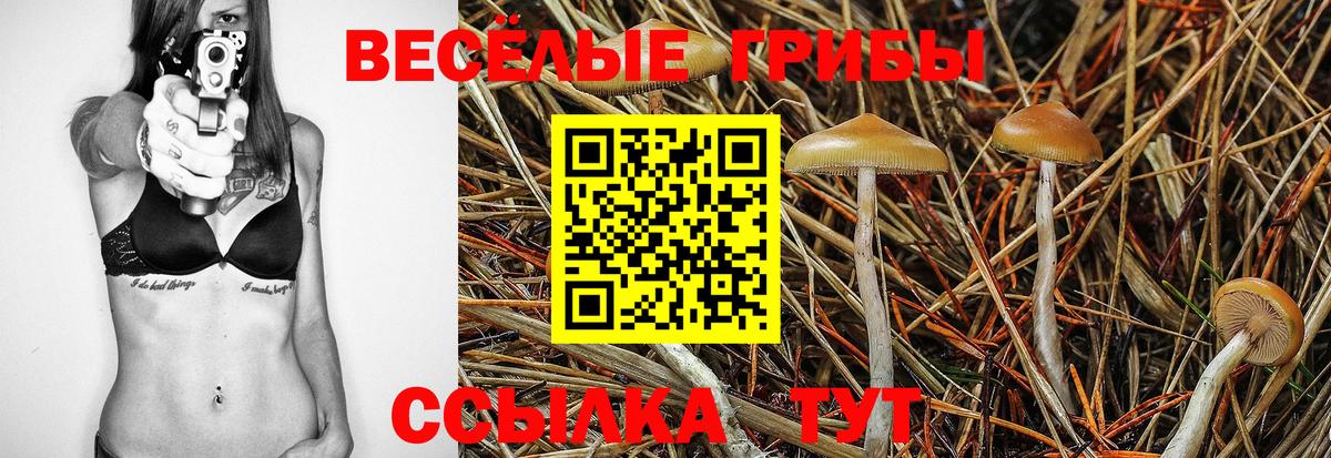 Галлюциногенные грибы MAGIC MUSHROOMS Феодосия