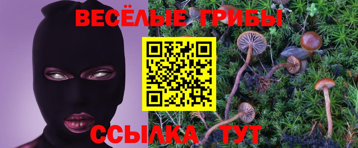 Псилоцибиновые грибы Psilocybe  цена наркотик  Псилоцибиновые грибы GOLDEN TEACHER  Феодосия  Вход с VPN 